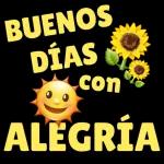 mis cosas