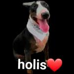 Hoy es viernes