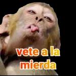 Los mejores