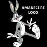 LLORELO PAPÁ CARACOL