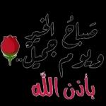 جديد