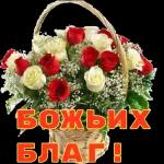 My Pack 61