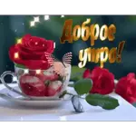доброе утро!