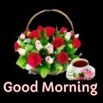 beautiful flowers for you🌷