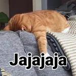 Jajajaja