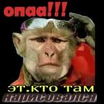 ебать - копать