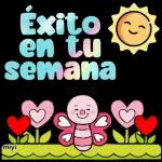 TOYCON FLOJERA@rose stickersAl máximo