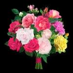 Herzlichen Glückwunsch 