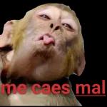 pack varios