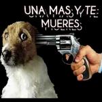 Qué tanta borracha de mensajes?