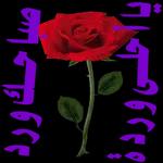 ملصقات مفضلة
