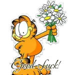 Good Night