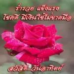 ดอกกุหลาบ🌹🌹