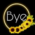 bye bye