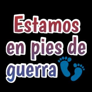 sjwr6q