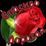 прив