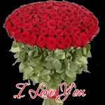 lovely rose pack