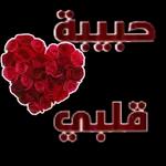 أنت شمسی و همري وكل نجومي