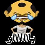 محمود أبو ملك