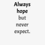 文字sticker 01081😎 