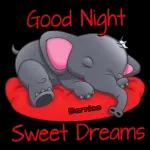 good night sweetie