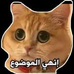 اليوم 