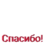 цветы