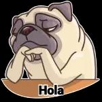 Text😂 Sticker