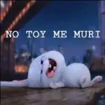 NO TOY ME MURI