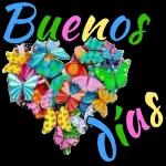 Buenos Días