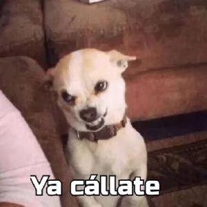 4PYUT1