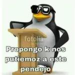 fotolia
by Adobe
Propongo k nos
putiemoz a este
pendejo