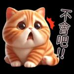 呆萌小橘猫