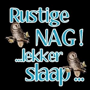 tnQNrB