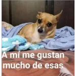 Te me calmas