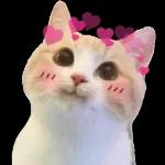 My entire world comes to a standstill