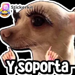 vkZZdO