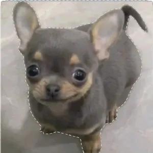 BMzvFY