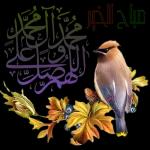 صباح الخير