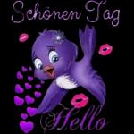Schönen TagHello