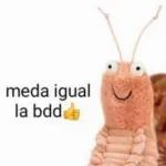monos lokos