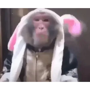 wYqMUC