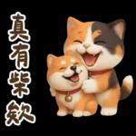 花貓超可愛諧音梗