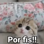 buenos días