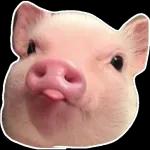 امین
Camiiut..
إن شاة
لله