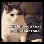why did you text
me in that tone