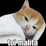 enferma
