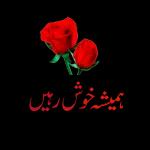 اللہ آپ کو نیکوں والی اور تندرستی والی لمبی عمر عطا فرمائے آمین
