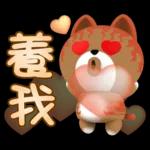 【好用好笑生活貼】沒有錢的咖咪咪！