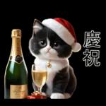 可愛的貓咪聖誕快樂